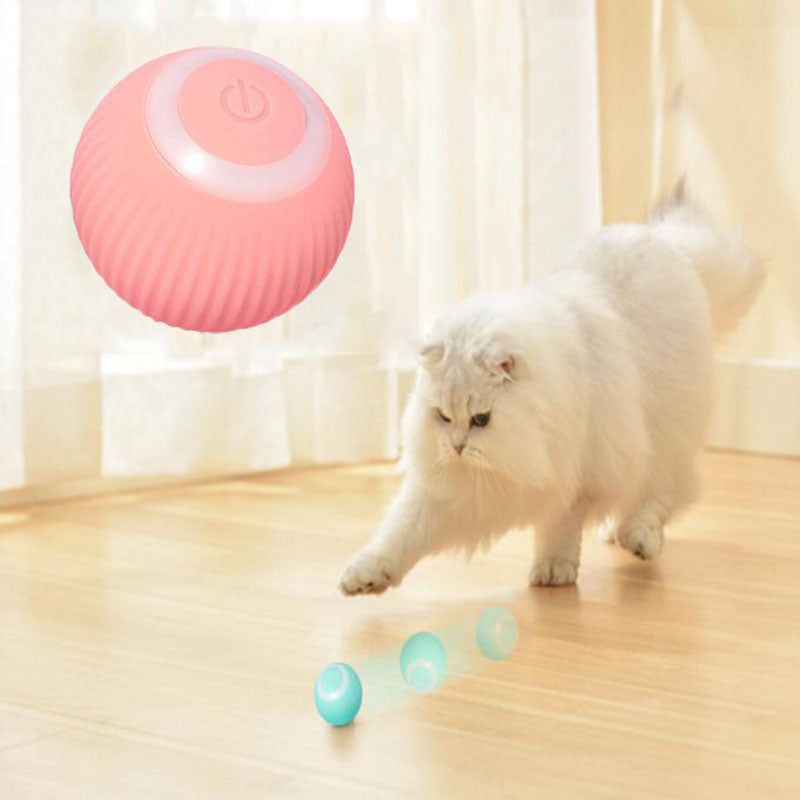 Pet Gravity Interactive Ball